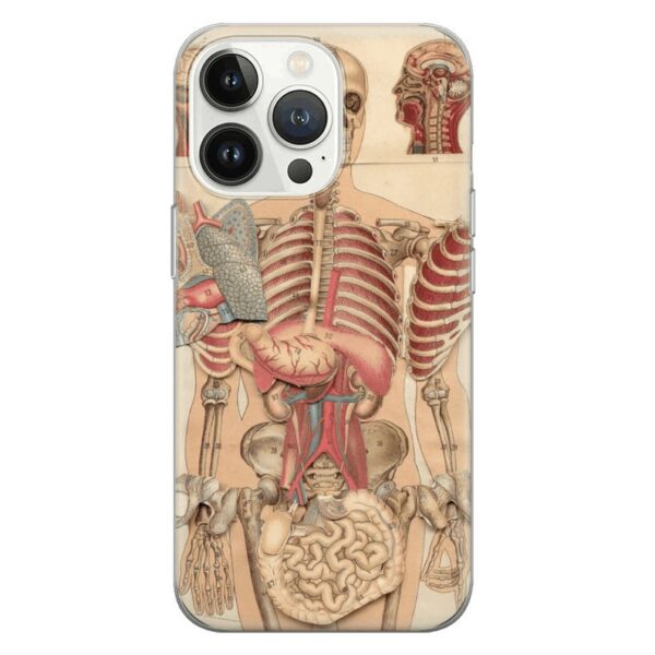 Medical illustration Phone Case Anatomy courses Cover for Pixel 8 Pro 7A, iPhone 15 14 13 12 Pro 11 XR for Samsung S24 FE S23 A73 A53 - Image 3